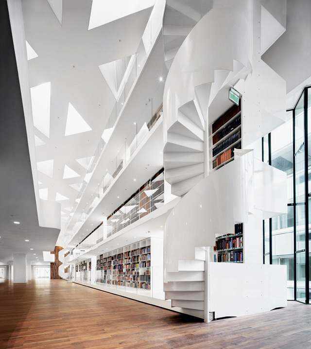 Сила — в науку: пять проектов образовательных учреждений (фото 9)