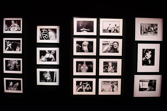 Выставка Жана Пигоцци открылась в Пекине (фото 1)