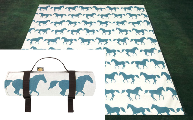 Время для пикника: 5 вещей, без которых вам не обойтись (фото 1)