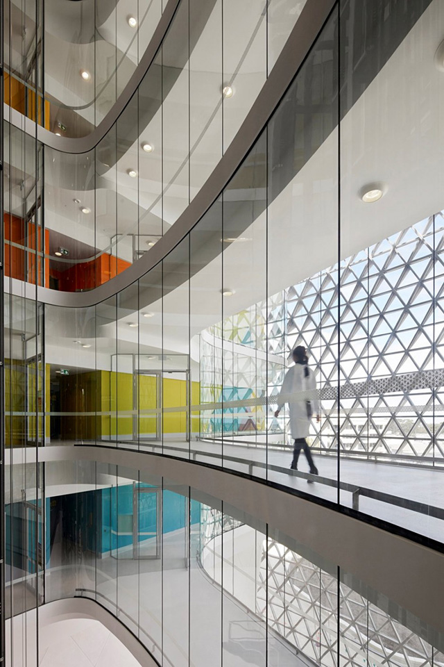 Здание медицинского института SAHMRI в Австралии от Woods Bagot (фото 3)
