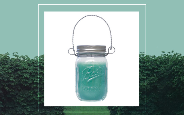 Время для пикника: 5 вещей, без которых вам не обойтись (фото 5)