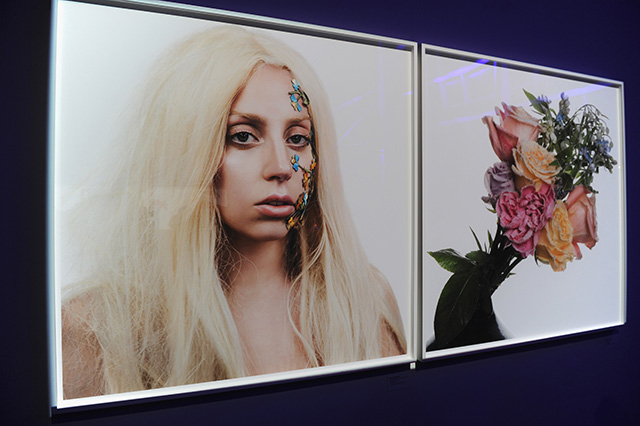 Леди Гага организовала выставку в Нью-Йорке (фото 11)