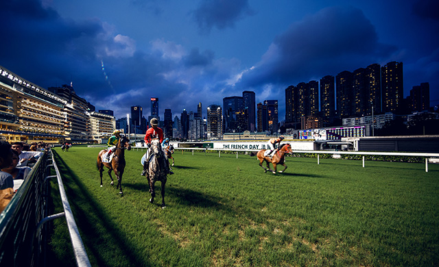 Далее мы отправляемся на центральный ипподром. Гонконгцы очень любят скачки и тратят на ставки огромные деньги. На табло можно увидеть общую сумму ставок, сделанных на заезд. Часто это семизначное число в гонконгских долларах Путевые заметки: Гонконг (фото 34)