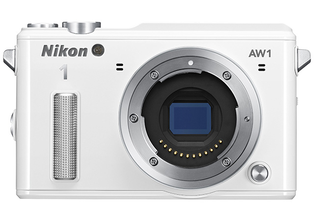 Техника плавания: 10 вещей для отпуска (фото 4)