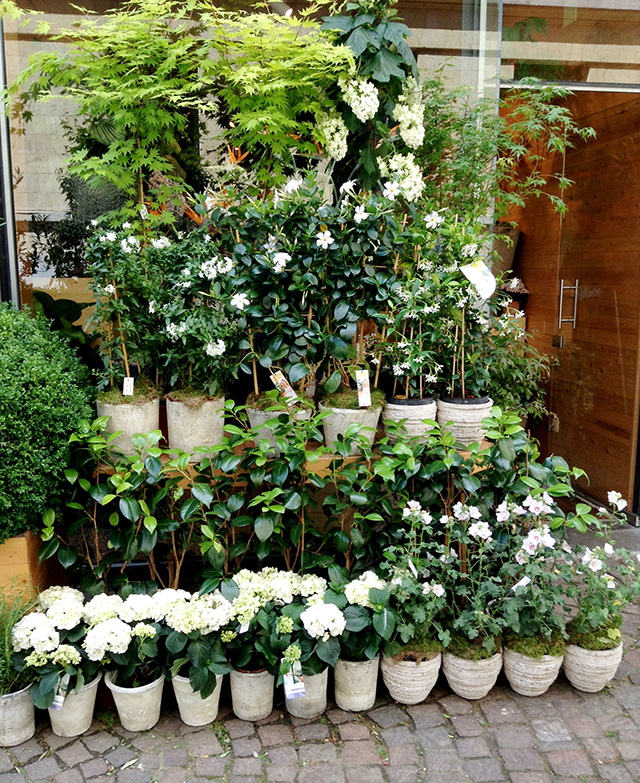 Есть, бродить, покупать: путеводитель по неочевидным местам Антверпена (фото 12)