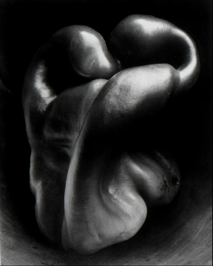 Ярмарка фотографии AIPAD прошла в Нью-Йорке (фото 2)