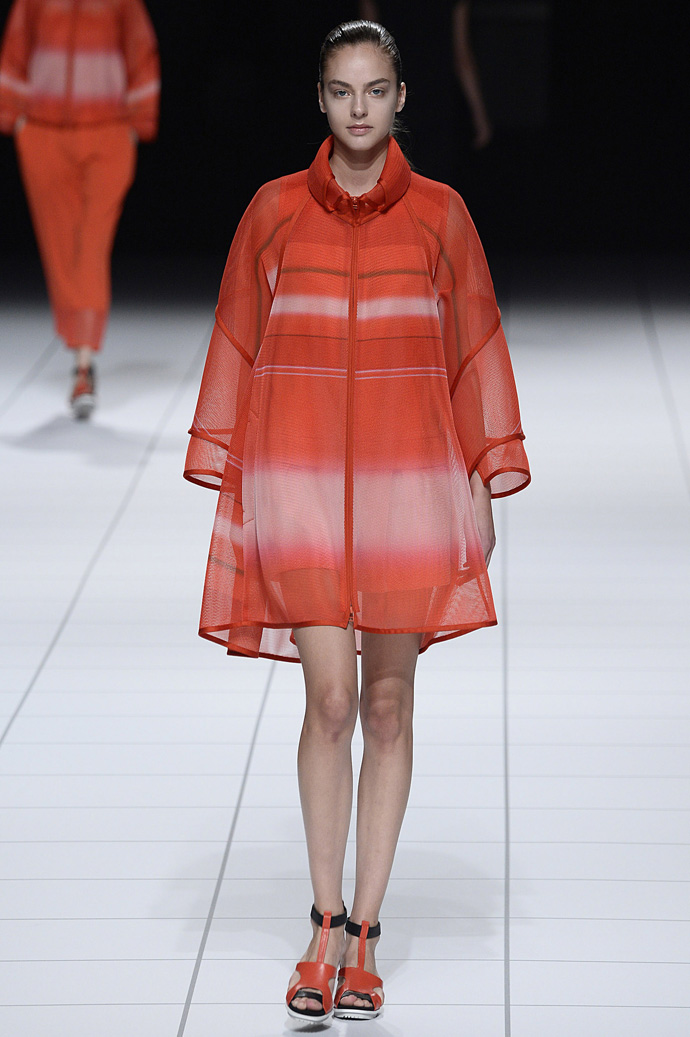 Неделя моды в Париже SS14: день 4-й (фото 7)