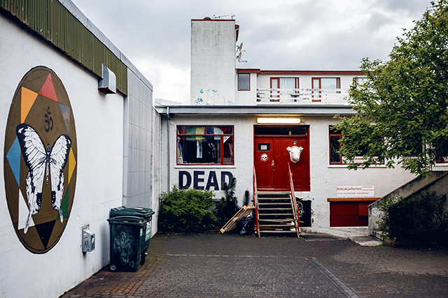 Путевые заметки: Исландия (фото 23)