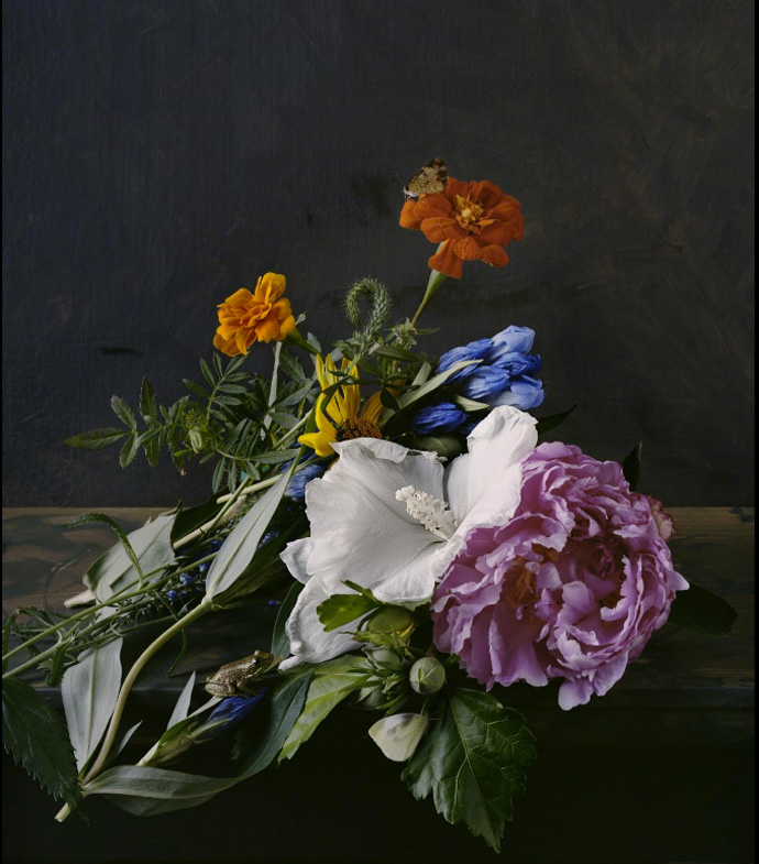 Ярмарка фотографии AIPAD прошла в Нью-Йорке (фото 4)