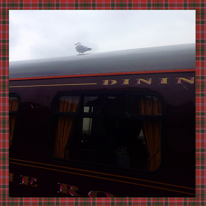 Поезд отправляется: Шотландия (фото 4)