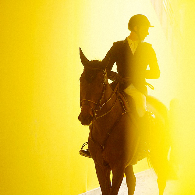 Le Saut Hermès: конный уик-энд в Париже (фото 7)