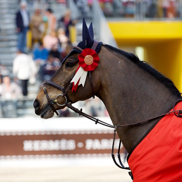 Le Saut Hermès: конный уик-энд в Париже (фото 10)