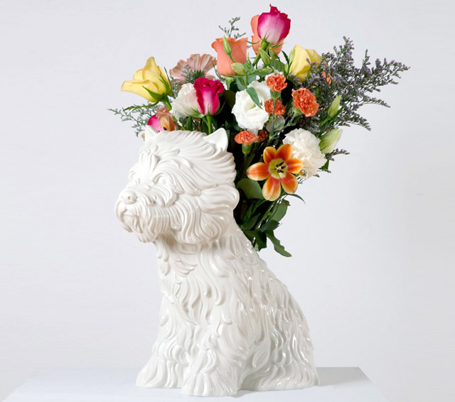 Блиц-интервью: Мэри Катранзу (фото 5)