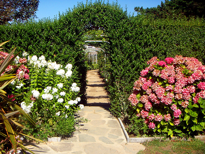 Под сенью девушек в цвету: выставка Dior Impressions (фото 6)