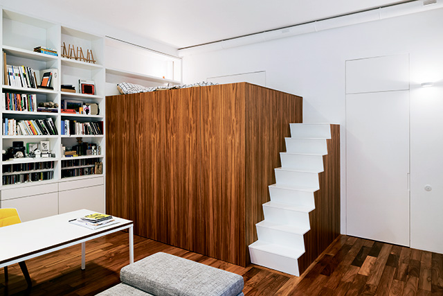 Архитектор Ната Татунашвили знает ответ на квартирный вопрос (фото 1)