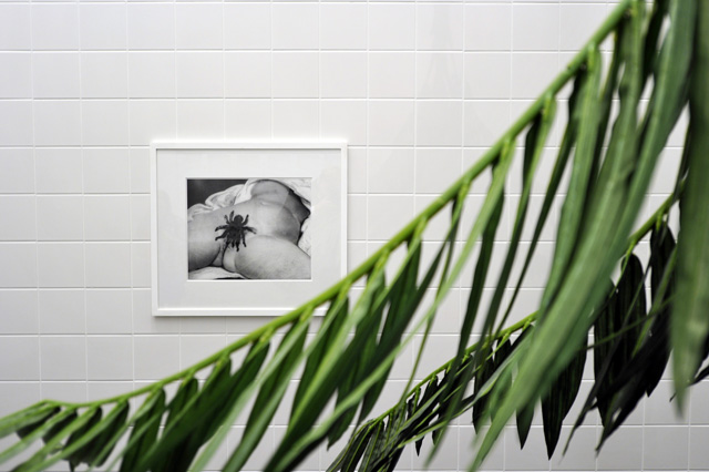 Rosemarie Trockel. As Far as Possible Art Basel 2014: гид по ярмарке (фото 9)