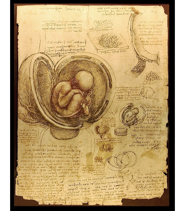 Леонардо Да Винчи