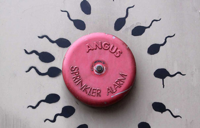 "Украденные" работы Бэнкси покажут в Лондоне (фото 1)