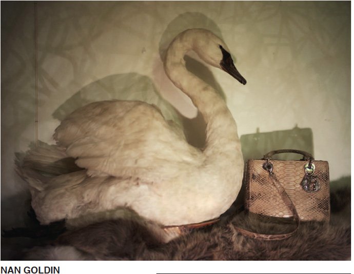 Lady Dior снова в Китае (фото 4)