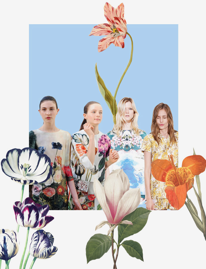 Простые истины: выбор Стеллы (фото 5)