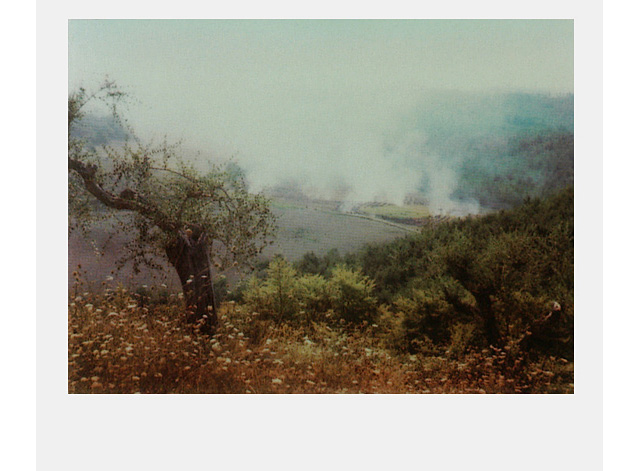 Полароиды Андрея Тарковского выставят в "Доме Нащокина" (фото 1)