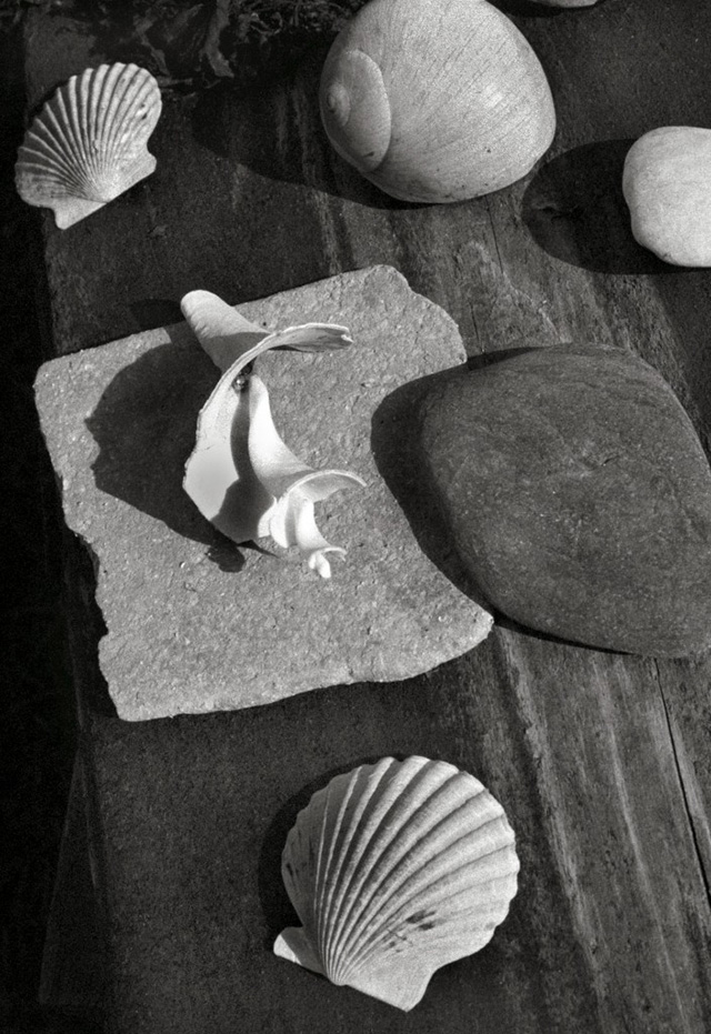 Первая американская выставка серии MONO Ральфа Гибсона (фото 2)