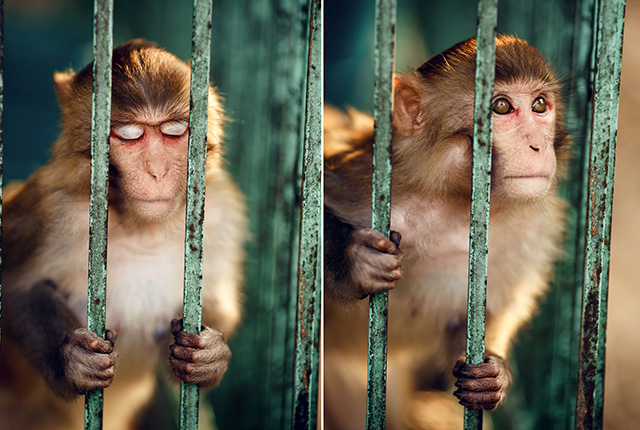 Путевые заметки: Вьетнам (фото 13)