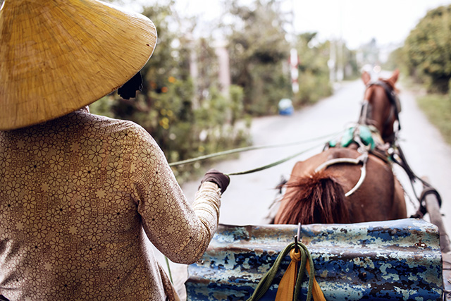 Путевые заметки: Вьетнам (фото 50)