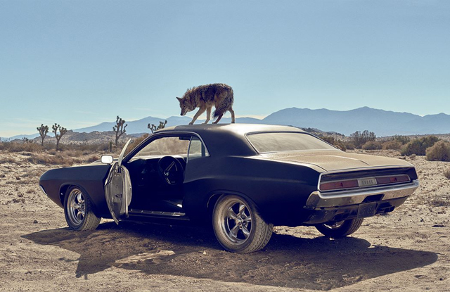 Джонни Депп в рекламе нового аромата Dior (фото 2)