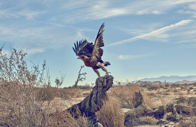 Джонни Депп в рекламе нового аромата Dior (фото 3)