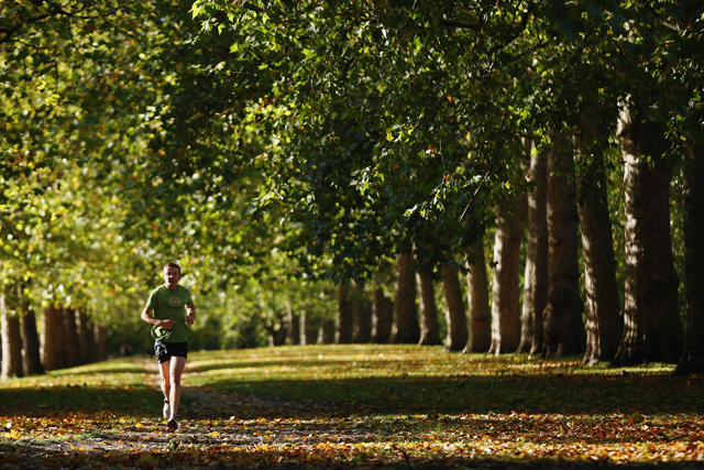 Фитнес в компании: беговые клубы Москвы (фото 3)
