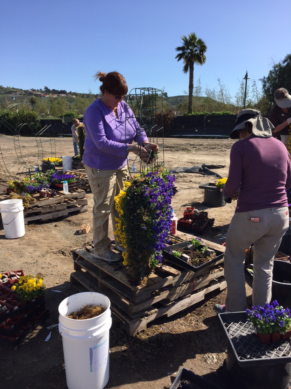 Цветущая арт-галерея (фото 3)