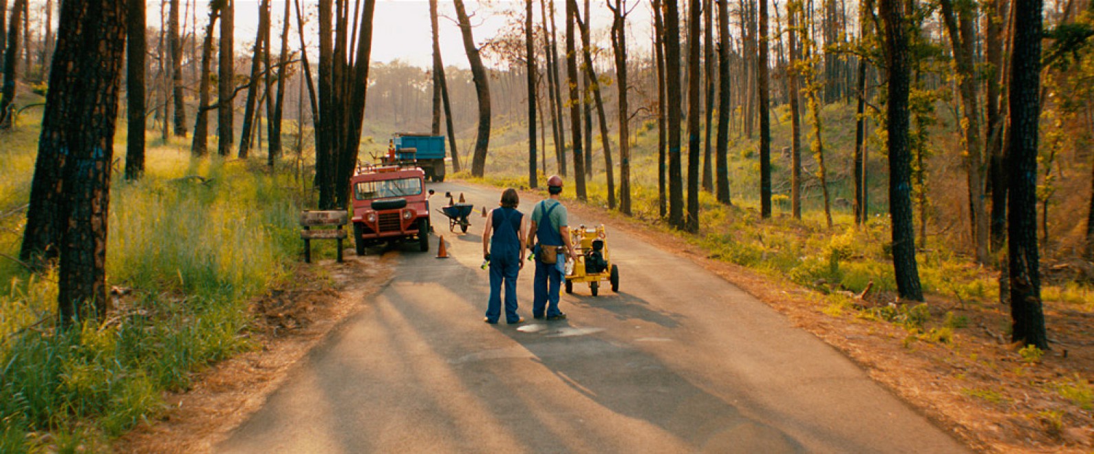Летние баклажаны (фото 2)