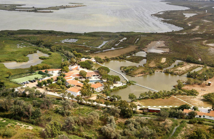 Жизнь в духе Камарга (фото 1)