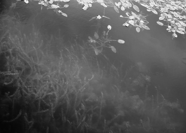 Полеты (фото 4)