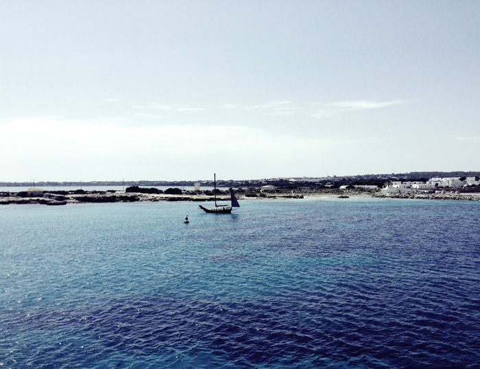 Ощущения Ибицы (фото 17)