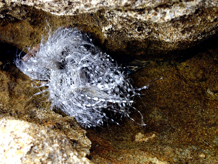 Ощущения Ибицы (фото 12)