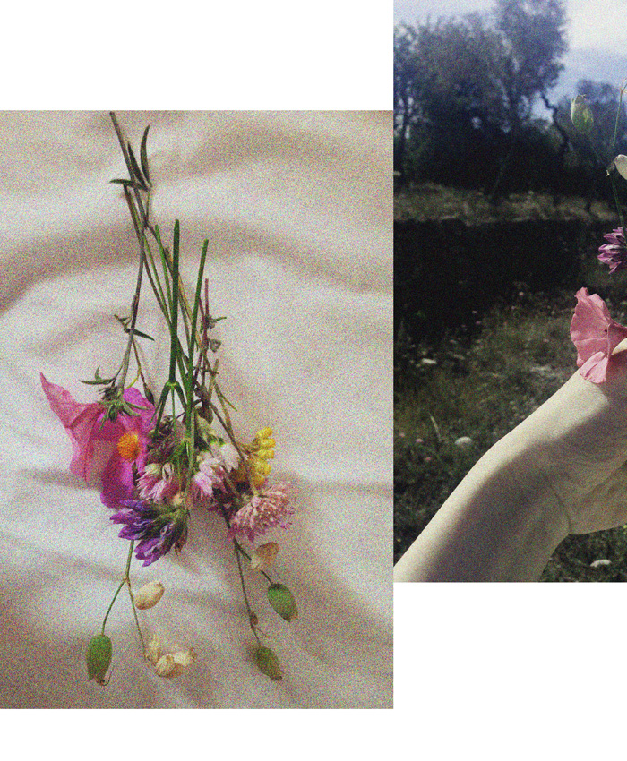 Ощущения Ибицы (фото 25)