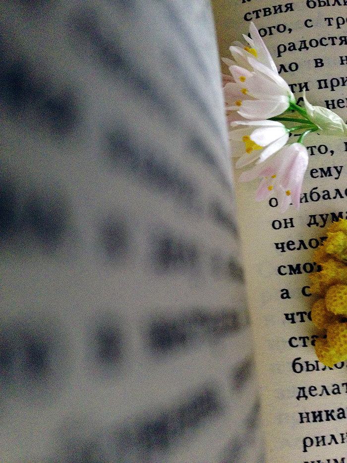 Ощущения Ибицы (фото 26)