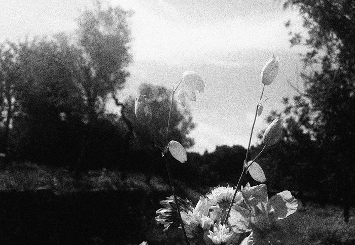 Ощущения Ибицы (фото 27)