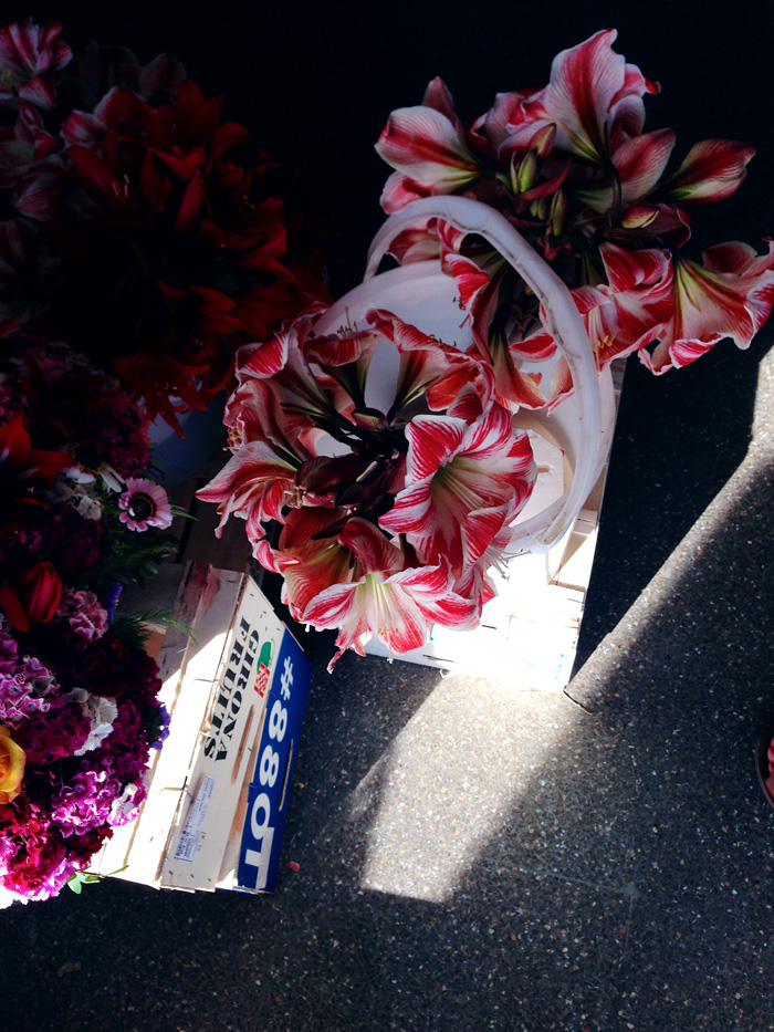 Ощущения Ибицы (фото 29)