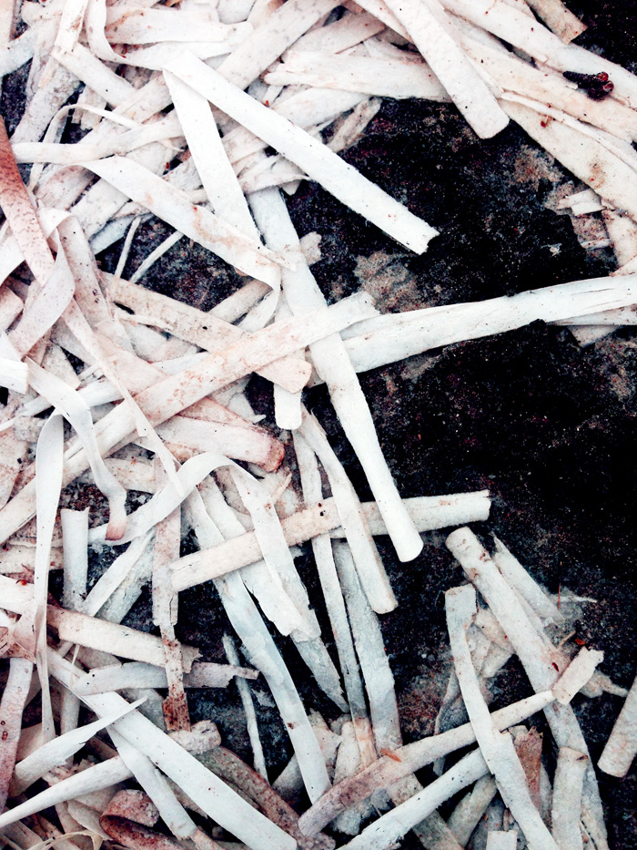 Ощущения Ибицы (фото 10)