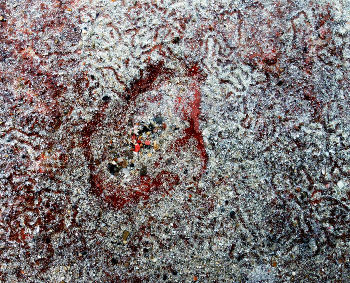 Ощущения Ибицы (фото 22)