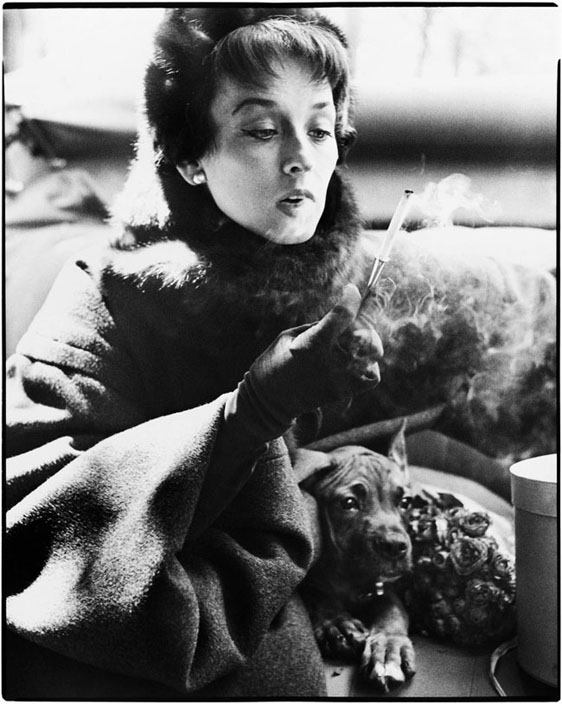 Женщины Ричарда Аведона (фото 3)