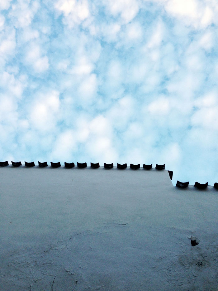 Выходные в деревне (фото 5)