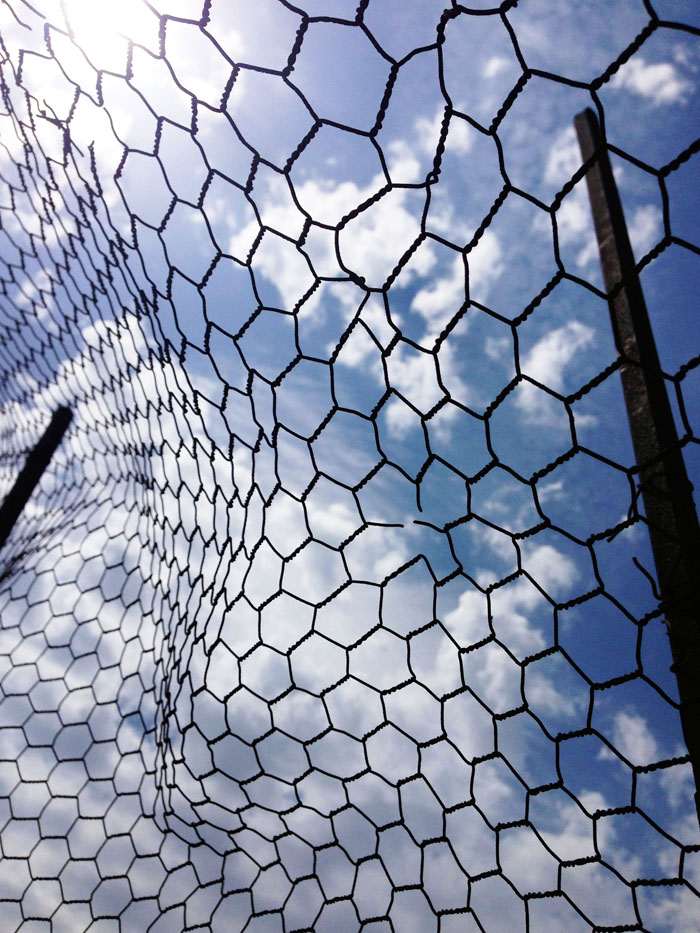 Выходные в деревне (фото 7)