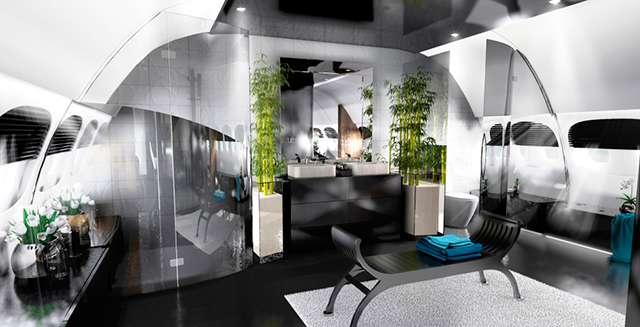 "Самолет будущего" с кинотеатром и душем на борту (фото 4)