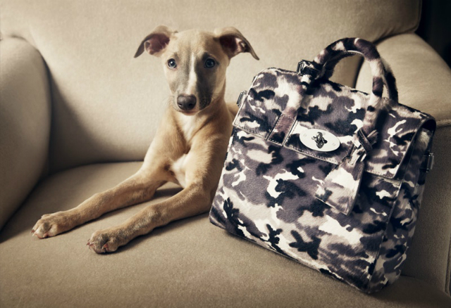 Кара Делевинь в рекламе собственной линии сумок для Mulberry (фото 1)