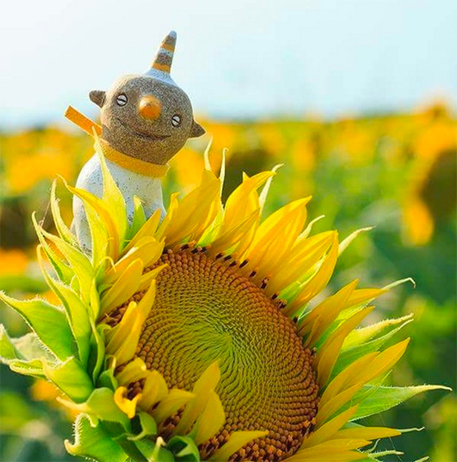 Лето в музеях: 10 петербургских выставок (фото 7)