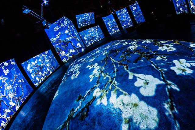 Лето в музеях: 10 петербургских выставок (фото 2)